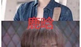 爆料鹿晗姐姐的新闻视频,揭秘背后惊人真相！